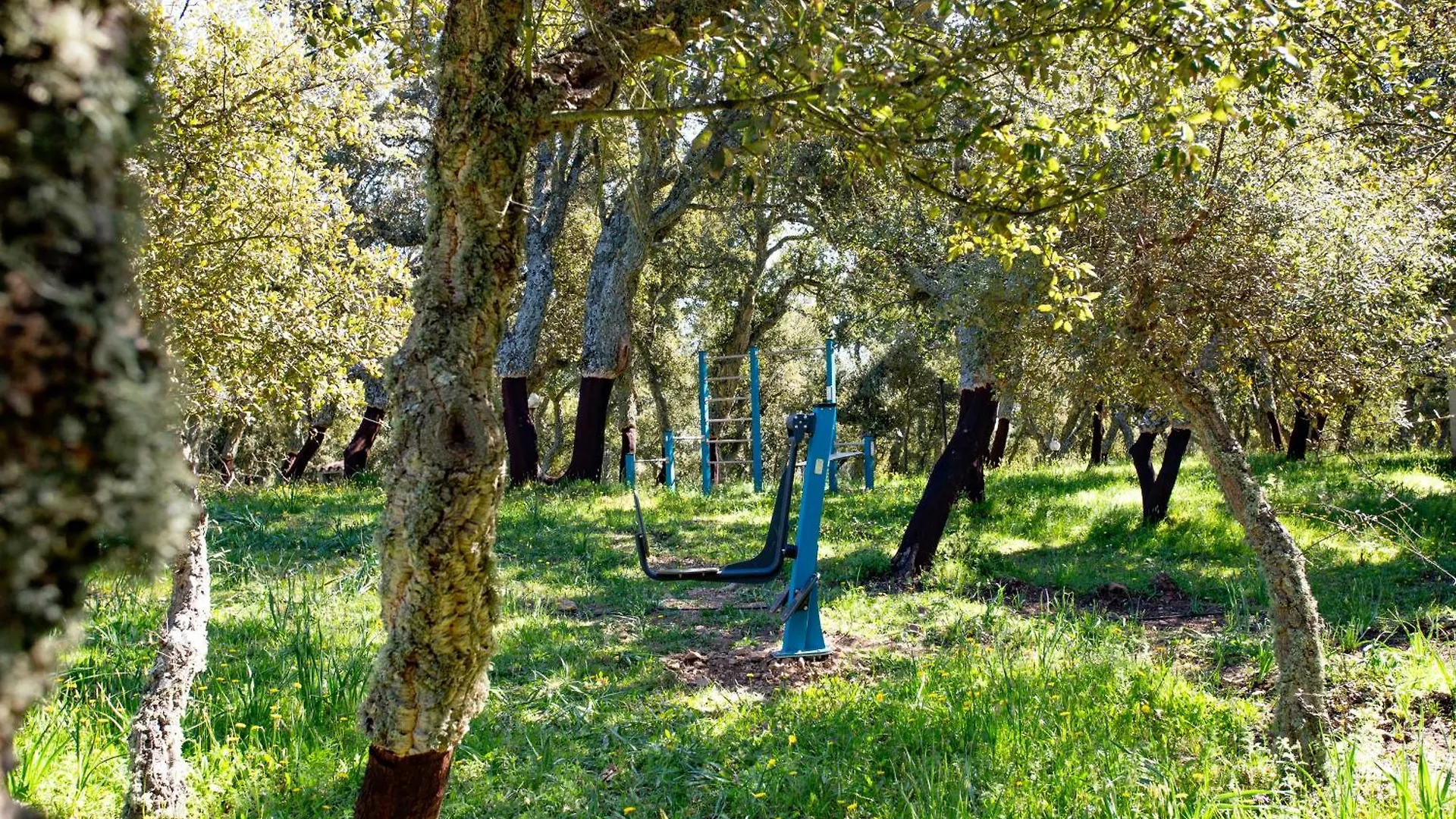 Monte Pirastru Guest House Nughedu di San Nicolo